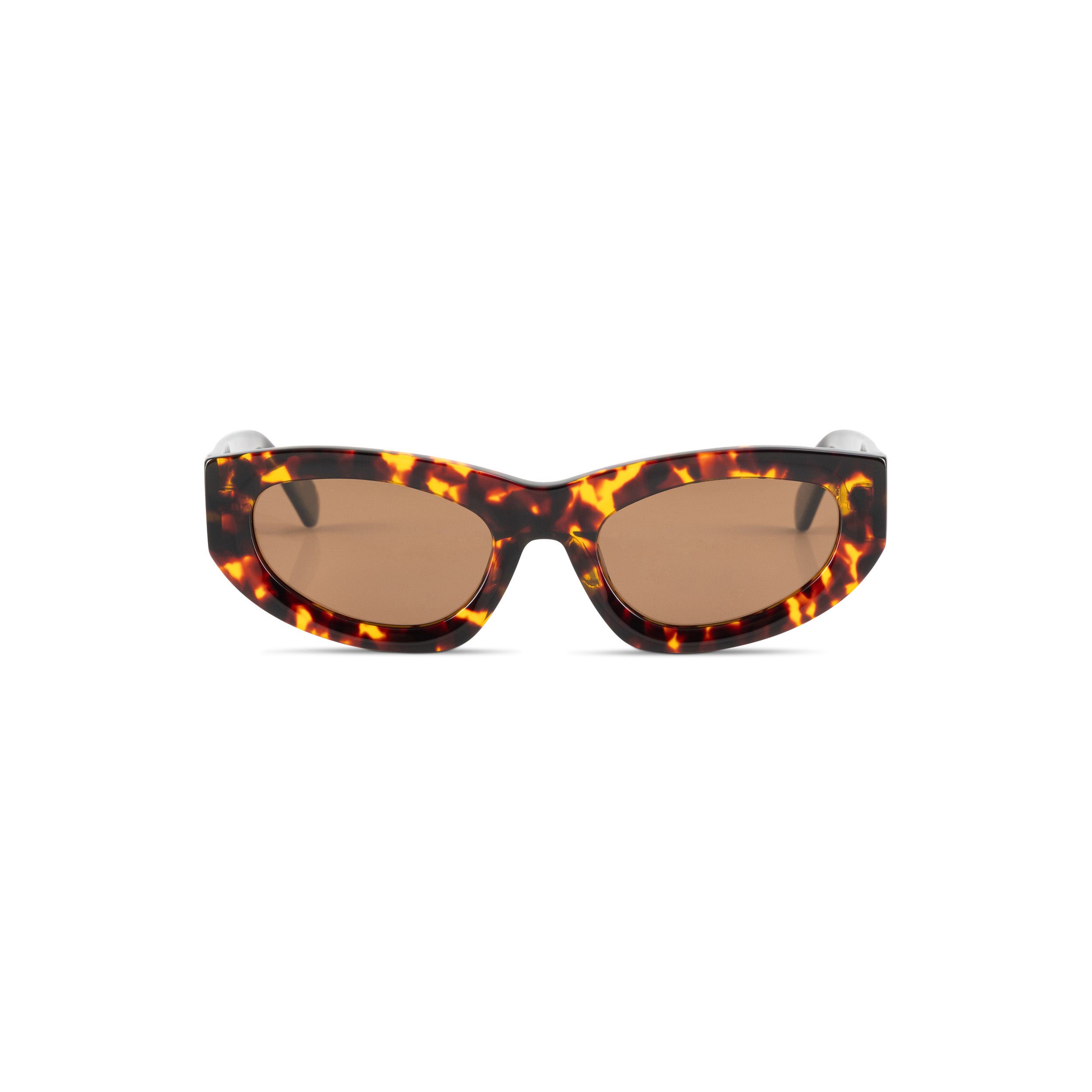 Monroe - Tortoise